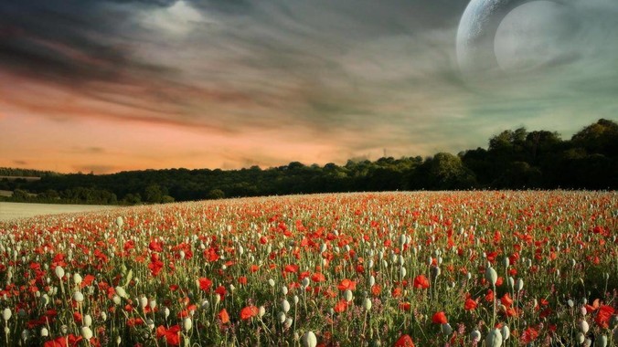 跨平台GUI框架到底应该自绘还是原生控件绑定？